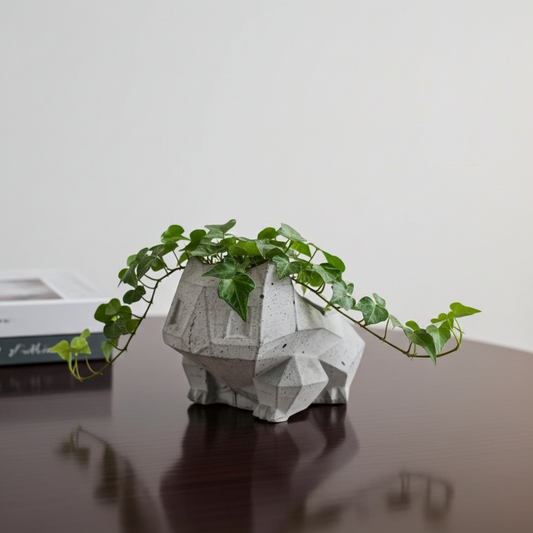Geometric concrete planter with a plant on a reflective surface