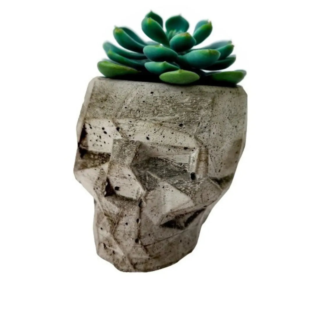 Skull Cement Planter - Mini Gothic or Upsized Weighted Pot